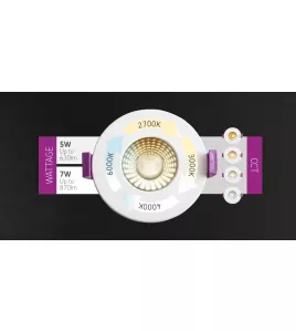 APS54598 SpektroLED Evo Fixed - Fire Rated IP65 Downlight with 2 x Wattage and 4 x CCT (No Bezel) 