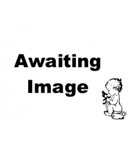 APS53249 300x400mm Type 21 Single Convector 1066 BTU White Radiator White